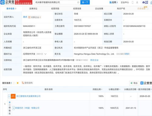 阿里新公司 在数据的深海中“提纯”价值